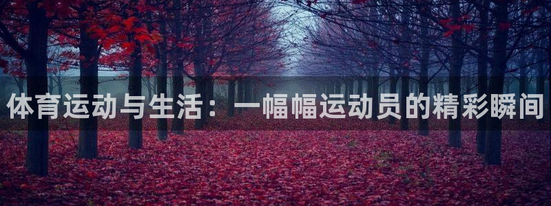 欧亿体育官方正版app娱乐代理怎么样：体育运动与生活