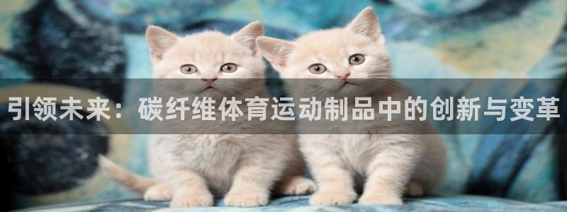 oety欧亿体育官网下载软件：引领未来：碳纤维体育运