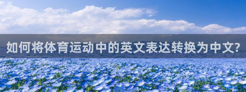 欧亿体育官方正版app官网：如何将体育运动中的英文表