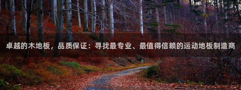 欧亿体育官方正版app娱乐平台：卓越的木地板，品质保