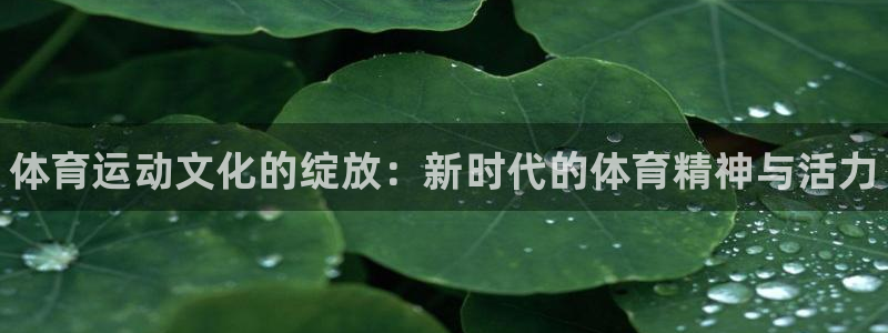 oety欧亿体育官网下载招商电话号码是多少：体育运动