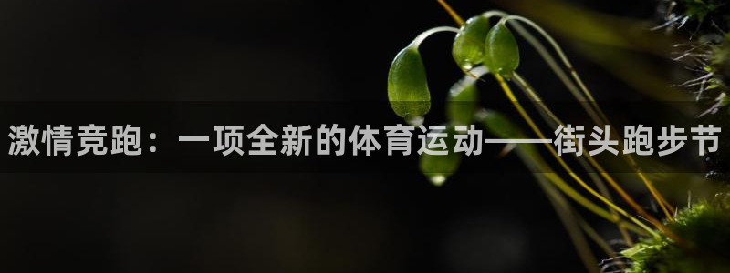 欧亿体育官方正版app娱乐首页官网下载：激情竞跑：一项全新的