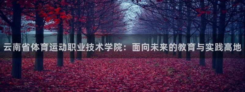 欧亿体育官方正版app科技：云南省体育运动职业技术学