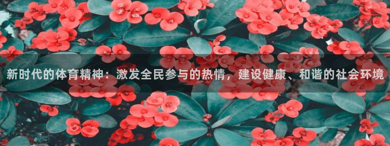 欧亿体育官方正版app集团：新时代的体育精神：激发全民参与的