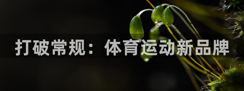 欧亿体育官方正版app集团简介：打破常规：体育运动新