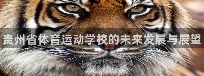 欧亿体育官方正版app新能源：贵州省体育运动学校的未来发展与