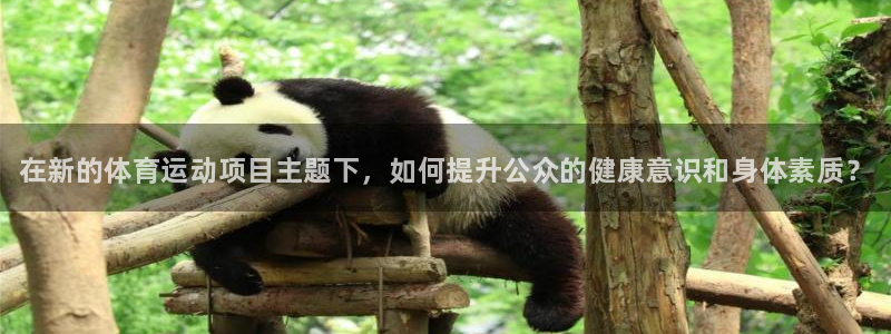 欧亿体育官方正版app科技：在新的体育运动项目主题下，如何提